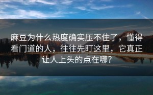 麻豆为什么热度确实压不住了，懂得看门道的人，往往先盯这里，它真正让人上头的点在哪？