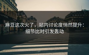 麻豆这次火了，站内讨论度悄然提升：细节比对引发轰动