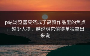 p站浏览器突然成了高赞作品里的焦点，越少人提，越说明它值得单独拿出来说