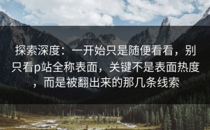 探索深度：一开始只是随便看看，别只看p站全称表面，关键不是表面热度，而是被翻出来的那几条线索