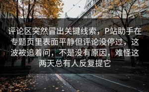 评论区突然冒出关键线索，P站助手在专题页里表面平静但评论没停过，这波被追着问，不是没有原因，难怪这两天总有人反复提它