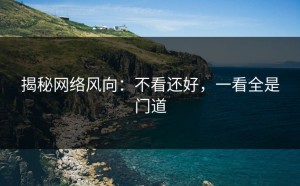 揭秘网络风向：不看还好，一看全是门道