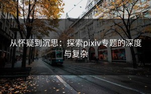 从怀疑到沉思：探索pixiv专题的深度与复杂