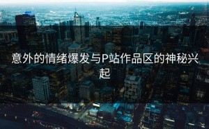 意外的情绪爆发与P站作品区的神秘兴起