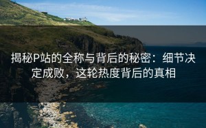 揭秘P站的全称与背后的秘密：细节决定成败，这轮热度背后的真相