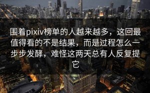 围着pixiv榜单的人越来越多，这回最值得看的不是结果，而是过程怎么一步步发酵，难怪这两天总有人反复提它