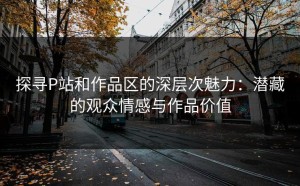 探寻P站和作品区的深层次魅力：潜藏的观众情感与作品价值