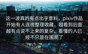这一波真的有点出乎意料，pixiv作品开始有人连夜整理收藏，越看到后面越有点说不上来的复杂，看懂的人已经不只是在围观了