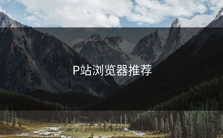 P站浏览器推荐