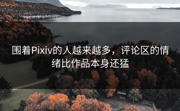 围着Pixiv的人越来越多,评论区的情绪比作品本身还猛 围着Pixiv的人越来越多,评论区的情绪比作品本身还猛