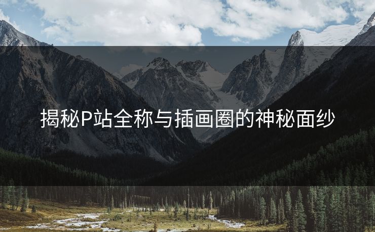 揭秘P站全称与插画圈的神秘面纱