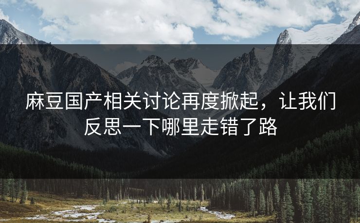 麻豆国产相关讨论再度掀起，让我们反思一下哪里走错了路