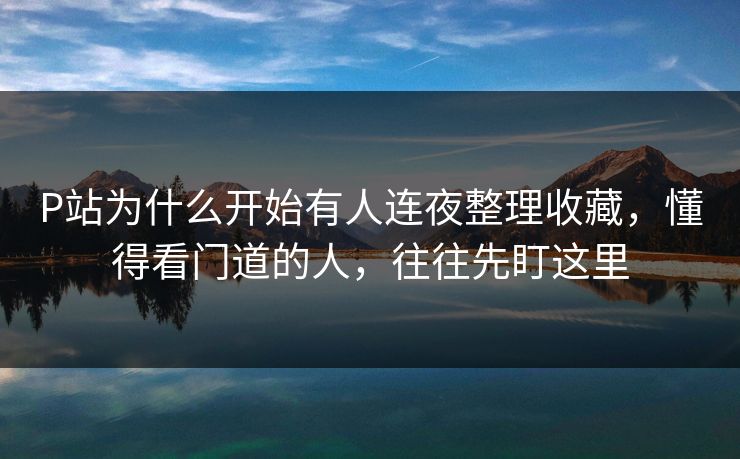 P站为什么开始有人连夜整理收藏，懂得看门道的人，往往先盯这里