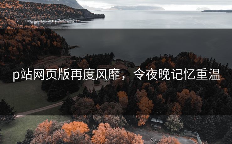 p站网页版再度风靡，令夜晚记忆重温